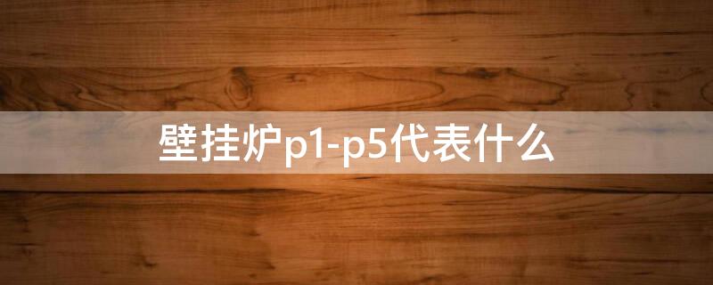 壁挂炉p1-p5代表什么（壁挂炉的p1p2是什么意思）