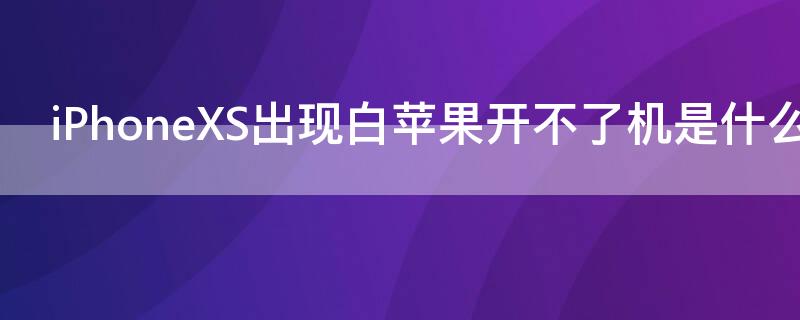 iPhoneXS出现白iPhone开不了机是什么原因 iphone x开不了机