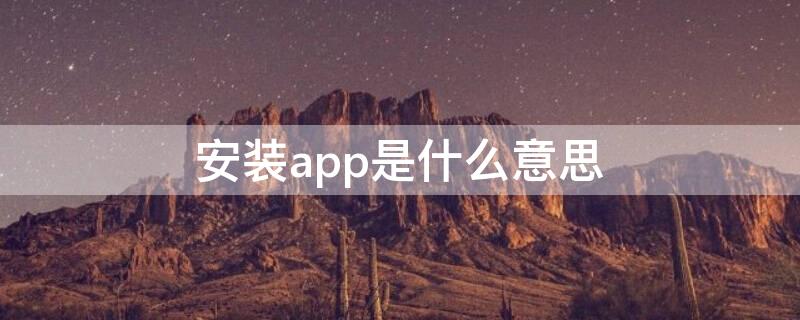 安装app是什么意思（app是什么意思通俗讲怎么安装）