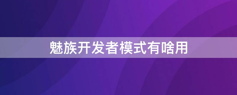 魅族开发者模式有啥用（魅族手机开发者模式有什么用）