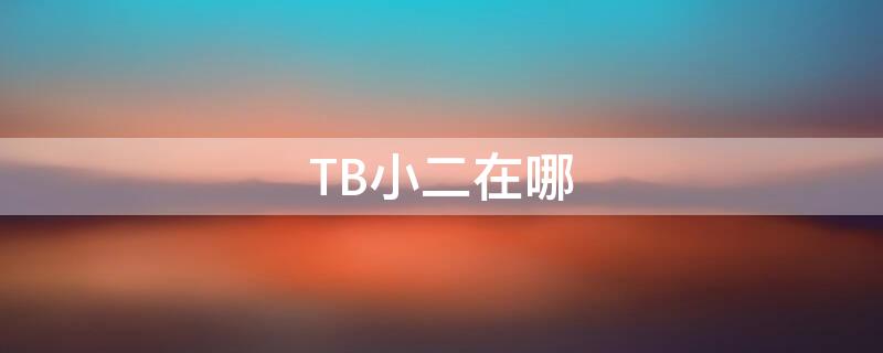 TB小二在哪（tb小二在哪里找）