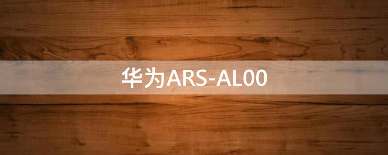 华为ARS-AL00 华为ars-al00屏幕多大