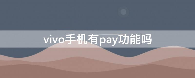 vivo手机有pay功能吗（vivo手机有没有pay功能）