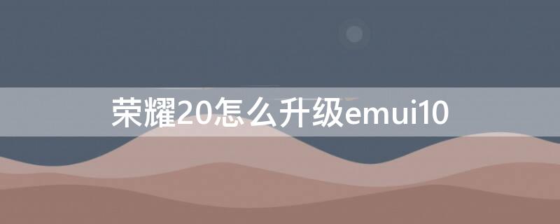 荣耀20怎么升级emui10 荣耀20怎么升级emui11