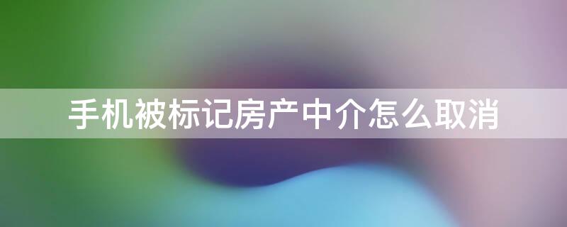 手机被标记房产中介怎么取消 手机被标记了房产中介怎么取消