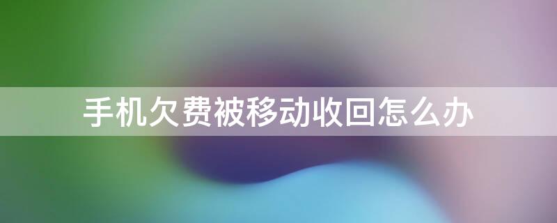 手机欠费被移动收回怎么办 手机欠费被移动收回怎么办呢