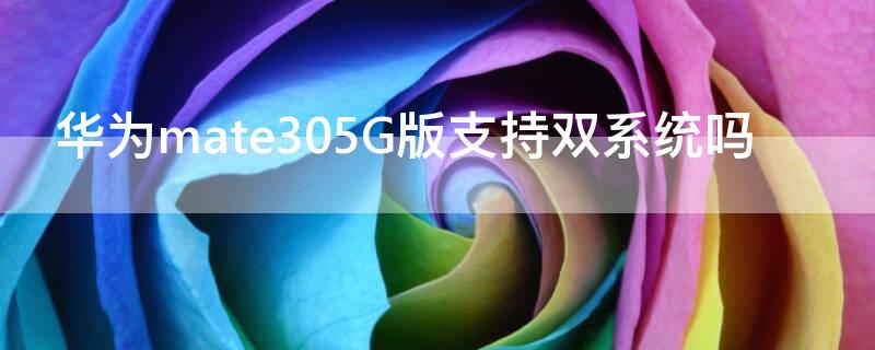 华为mate305G版支持双系统吗（华为mate304g版是双系统吗）