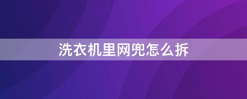 洗衣机里网兜怎么拆（洗衣机里网兜怎么拆下）