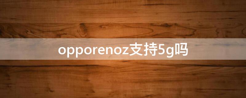 opporenoz支持5g吗（oppo reno z支持5g吗）