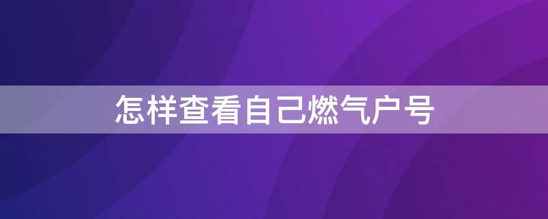 怎样查看自己燃气户号 怎样查看自己燃气户号哪里有十位数