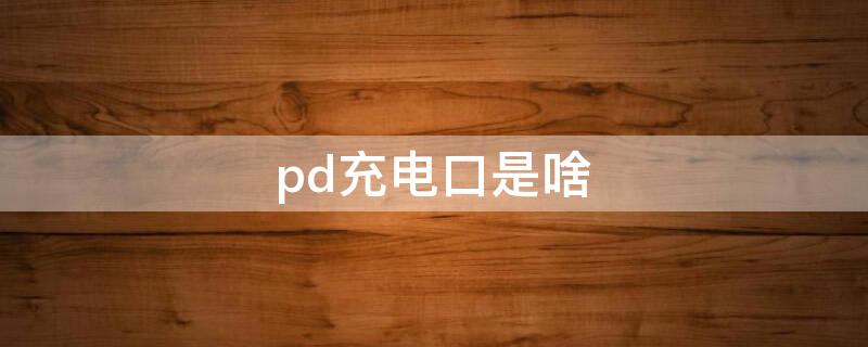 pd充电口是啥（pd充电接口什么样子）