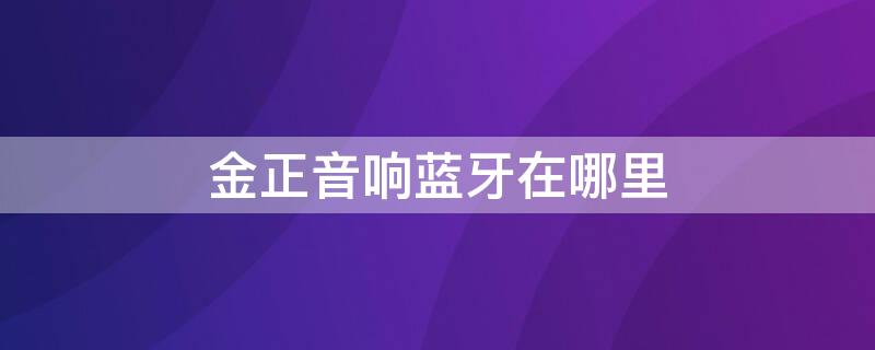 金正音响蓝牙在哪里 金正蓝牙音箱使用说明