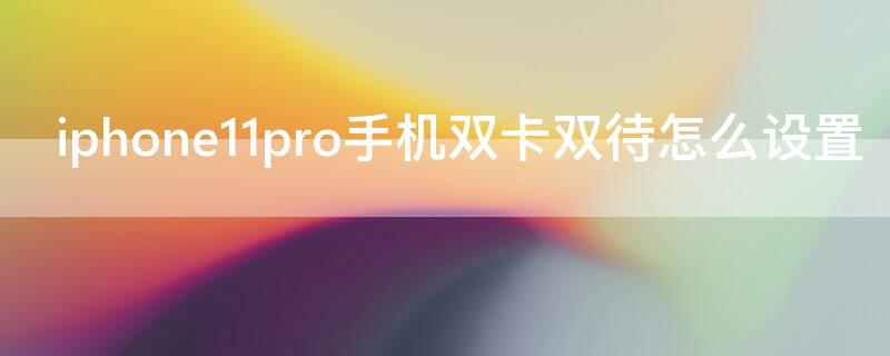 iPhone11pro手机双卡双待怎么设置 iphone12pro双卡双待怎么设置