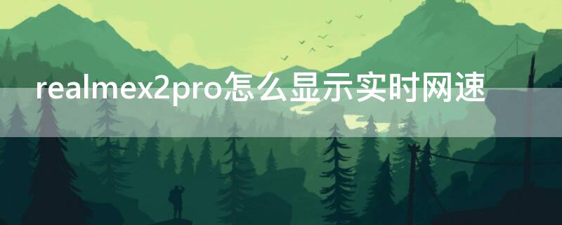 realmex2pro怎么显示实时网速 realmex2pro分辨率