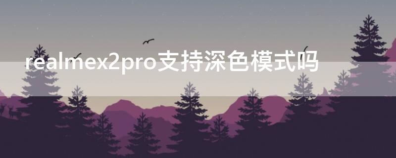 realmex2pro支持深色模式吗 realmex2pro颜色