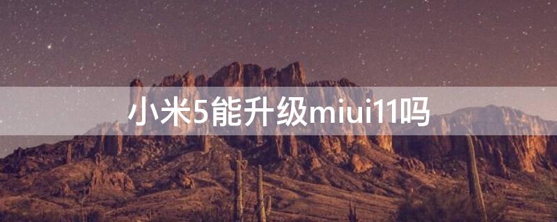 小米5能升级miui11吗（米5系统怎么能升级为miui11）