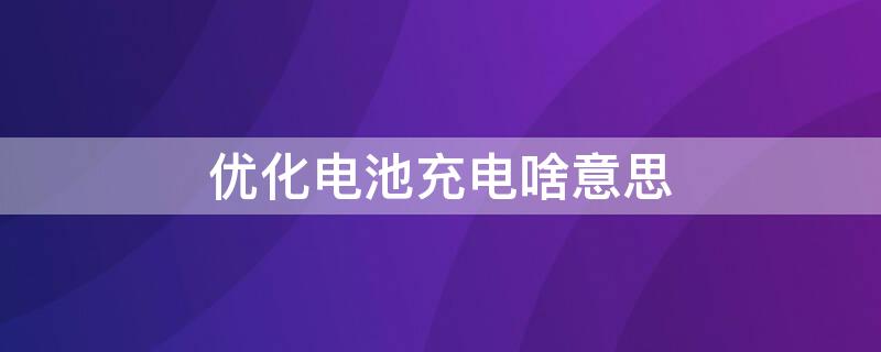 优化电池充电啥意思（什么叫优化电池充电）