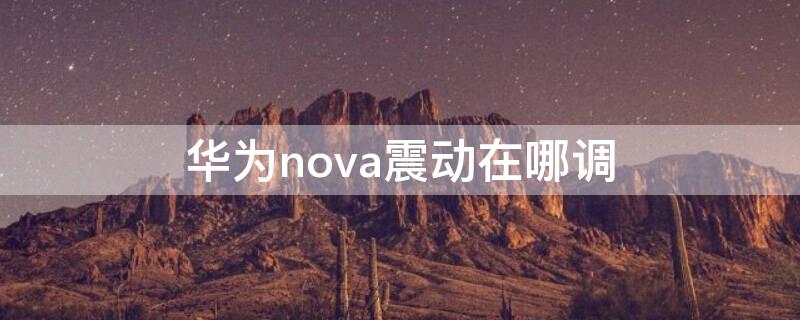 华为nova震动在哪调（华为nova震动怎么不震动）