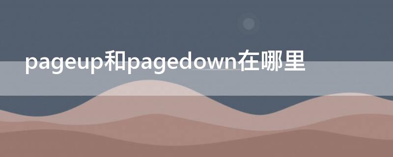 pageup和pagedown在哪里（page up page down在哪）