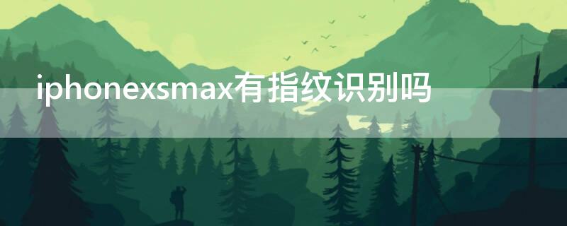 iPhonexsmax有指纹识别吗 iphonexsmax有指纹吗?