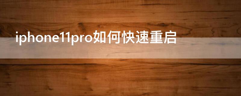 iPhone11pro如何快速重启（iphone12pro怎样重启）