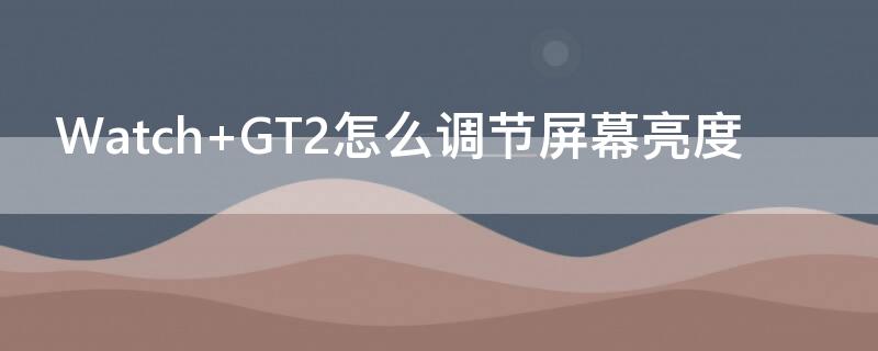 Watch GT2怎么调节屏幕亮度