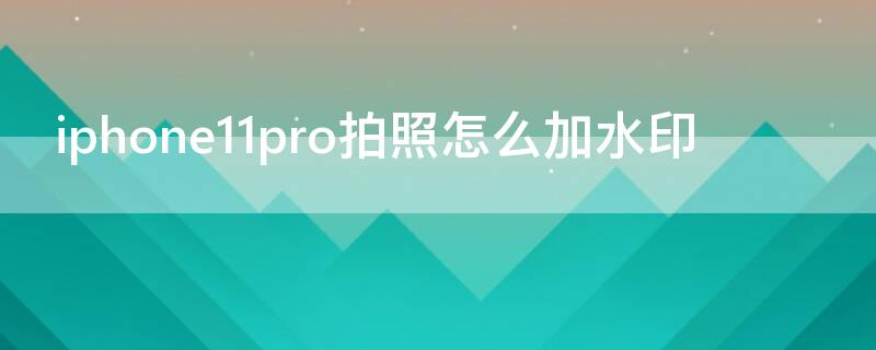 iPhone11pro拍照怎么加水印 苹果11pro拍照水印怎么设置