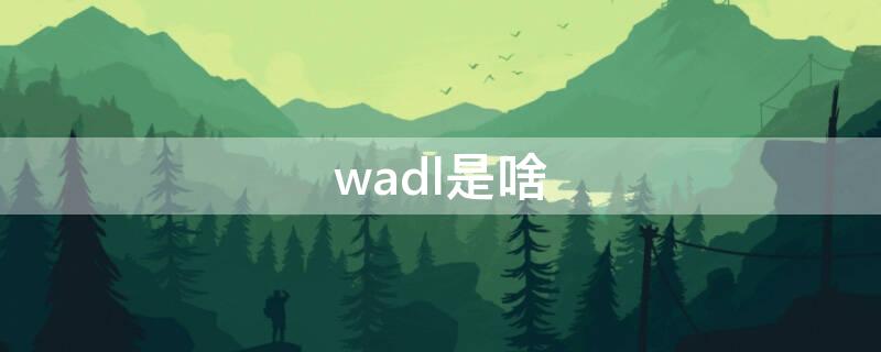 wadl是啥（wadl是什么）
