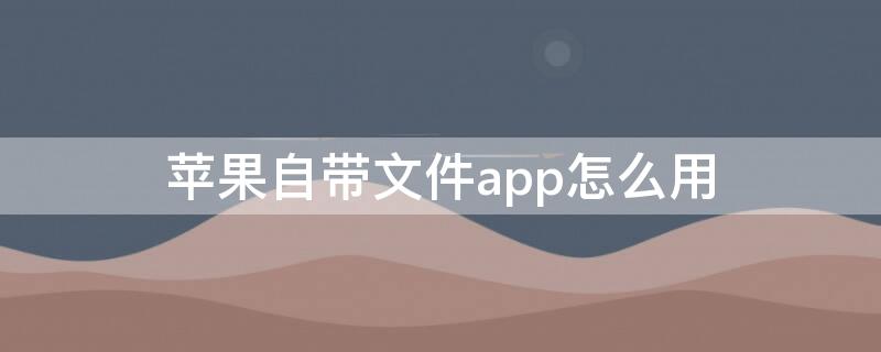 iPhone自带文件app怎么用（苹果手机里自带的文件app有什么用）