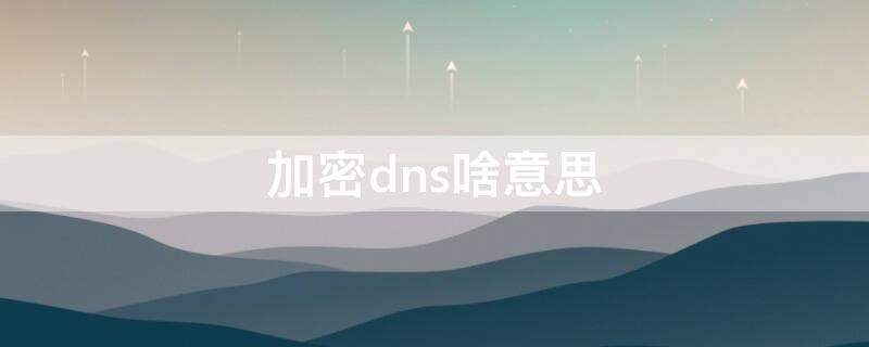 加密dns啥意思（加密DNS什么意思）