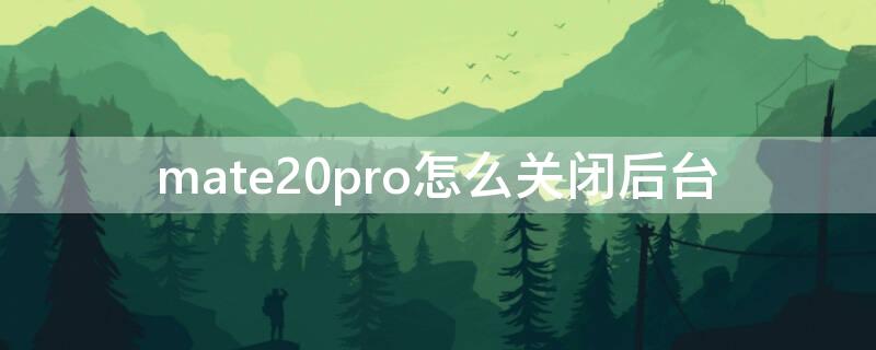 mate20pro怎么关闭后台 mate20 pro怎么关闭程序