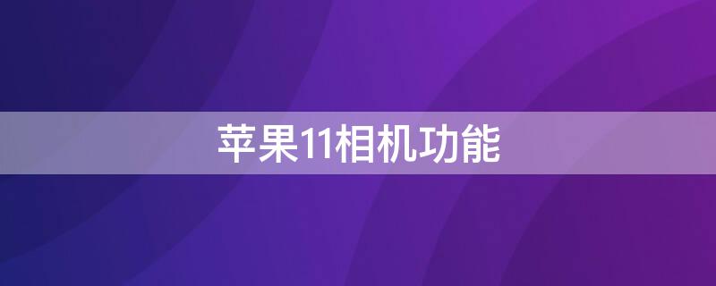 iPhone11相机功能（iphone11相机功能介绍）