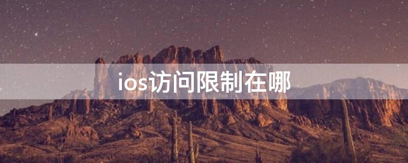 ios访问限制在哪（ios设置访问限制在哪）