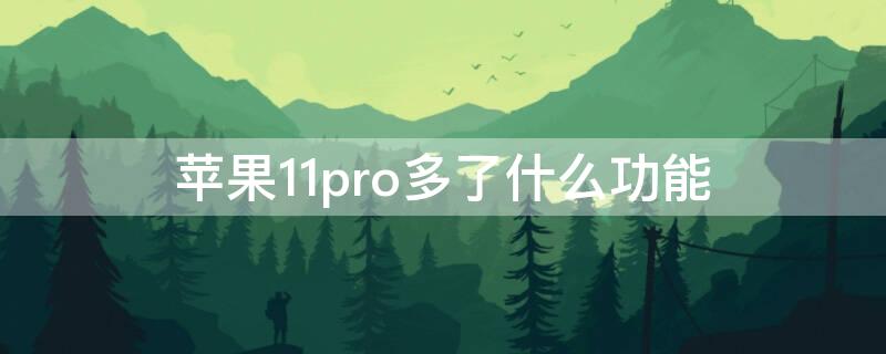 iPhone11pro多了什么功能（苹果11pro多了什么功能）