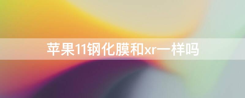 iPhone11钢化膜和xr一样吗（苹果11和苹果xr的钢化膜一样吗）