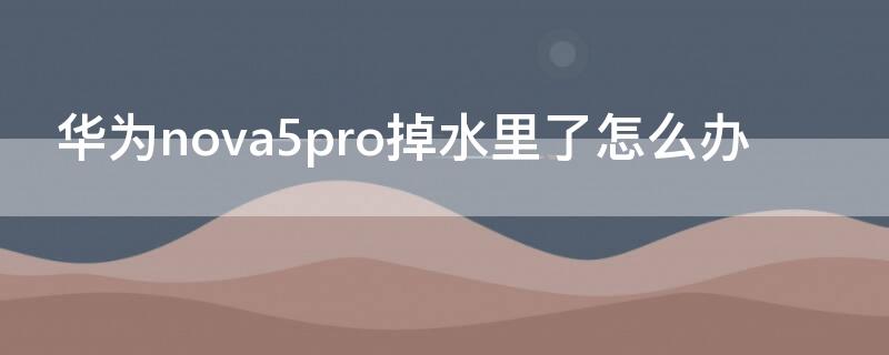 华为nova5pro掉水里了怎么办 nova5pro掉水里了没事