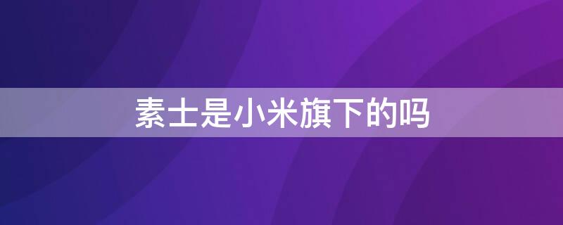 素士是小米旗下的吗 素士和小米有关系吗