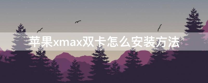 iPhonexmax双卡怎么安装方法（iphonexmax如何双卡）