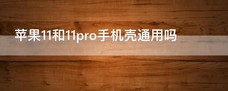 iPhone11和11pro手机壳通用吗（iphone11和iphone11pro手机壳）