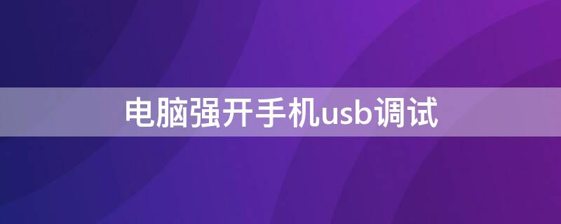 电脑强开手机usb调试（电脑强开手机usb调试怎么开）