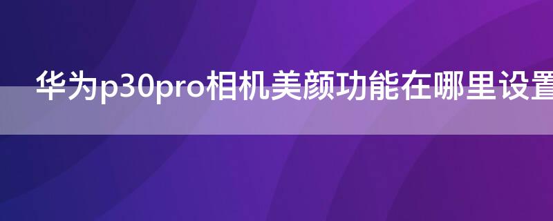 华为p30pro相机美颜功能在哪里设置 华为p30pro相机怎么设置美颜功能