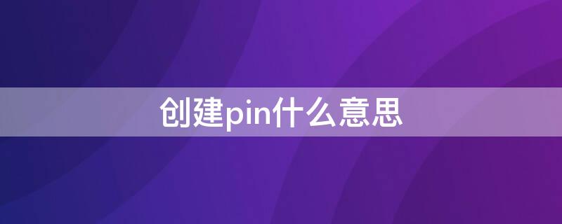 创建pin什么意思（创建pin是什么意思啊）