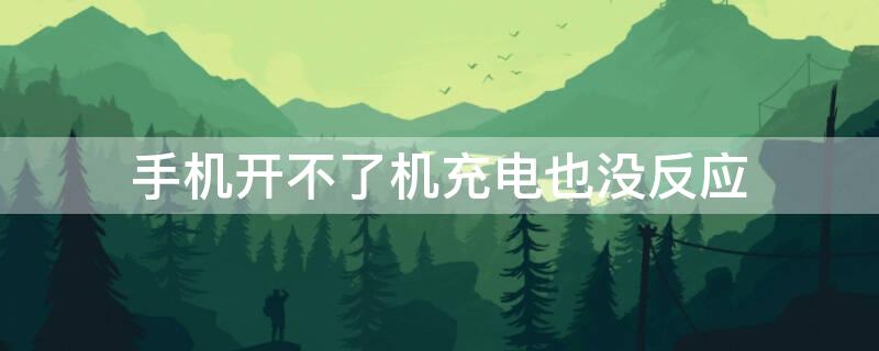 手机开不了机充电也没反应 苹果手机开不了机充电也没反应