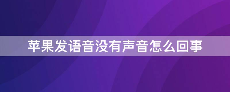 iPhone发语音没有声音怎么回事 苹果发语音没有声音怎么办