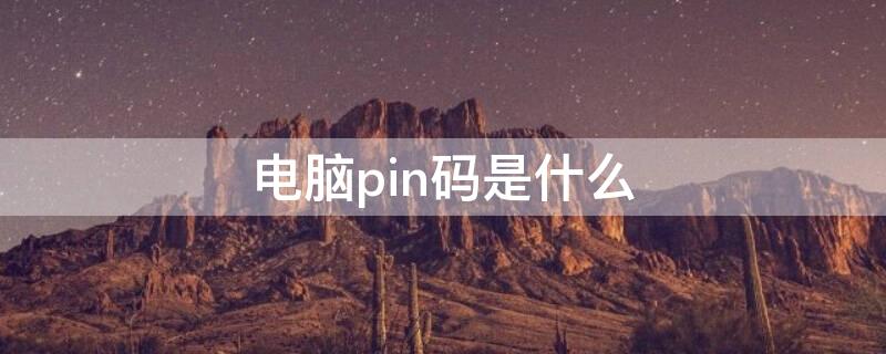 电脑pin码是什么（电脑pin码是什么怎么解锁）