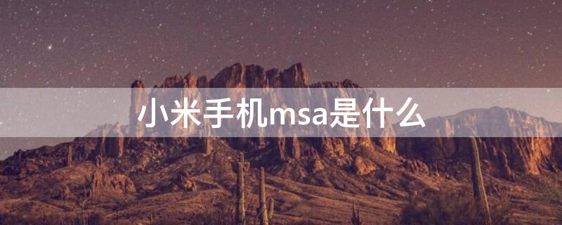 小米手机msa是什么（小米手机里的mab是什么意思）