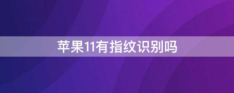 iPhone11有指纹识别吗（iphone11有指纹识别么）