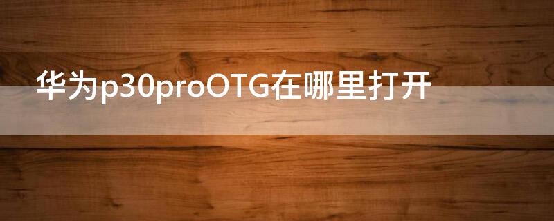 华为p30proOTG在哪里打开