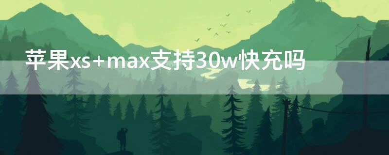 iPhonexs max支持30w快充吗
