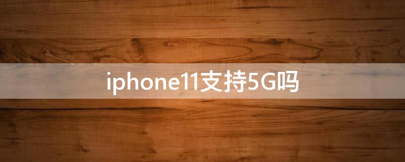 iPhone11支持5G吗（iphone14开启5g）